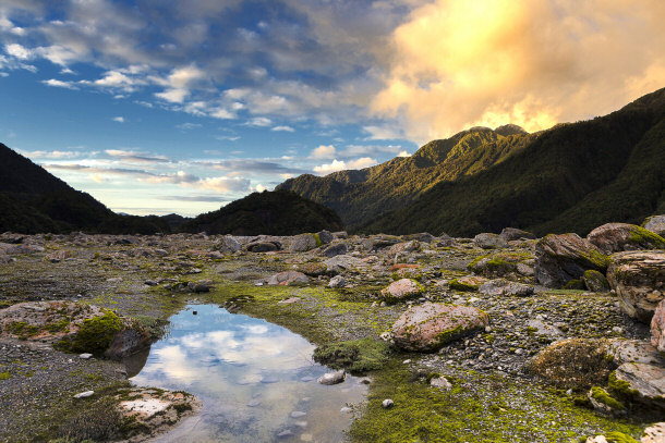 Franz Josef Glacier forest New Zealand