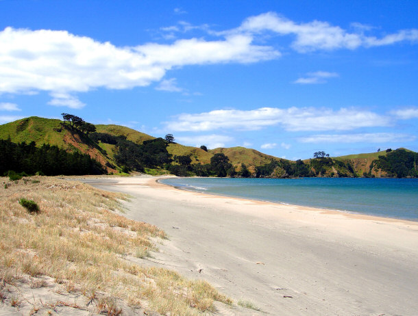 Great Barrier Island New Zealand