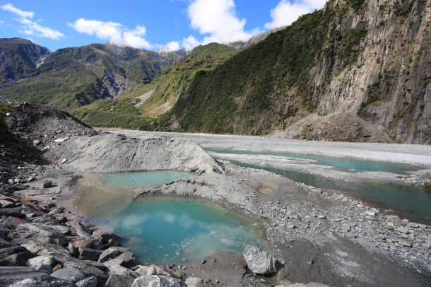 New Zealand National Forest