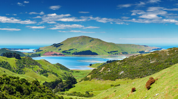 Otago Peninsula South Island New Zealand