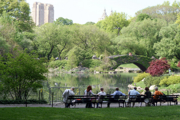 NYC Central Park oasis