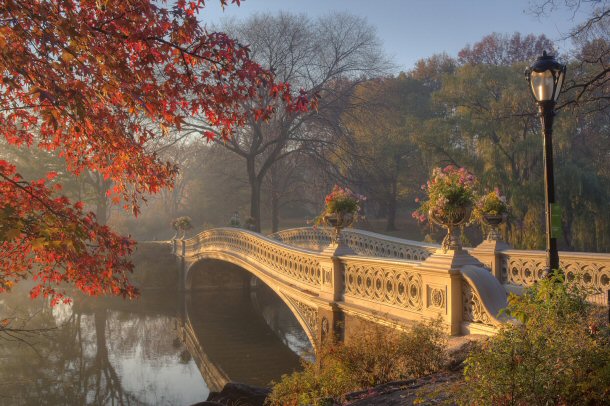 Central Park is an enjoyable place in NYC for single people and couples.