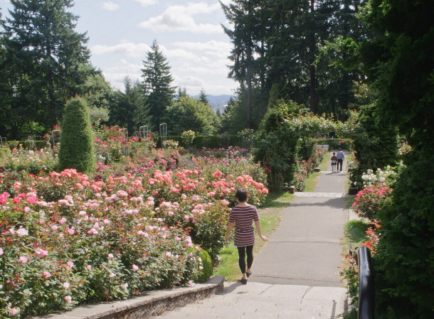 Yours truly at International Rose Test Garden, Portland by InSapphoWeTrust, on Flickr rose trial gardens, portland oregon