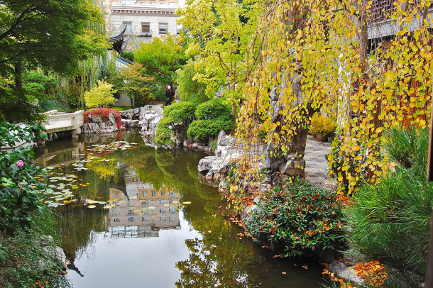 Koi Pond - Lan Su Chinese Garden