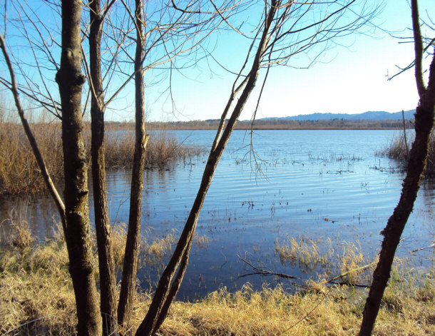 Smith and Bybee Wetlands Natural Area