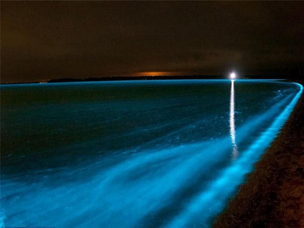 View of Bioluminescent Bay