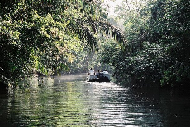 Lagoon Tortuguero