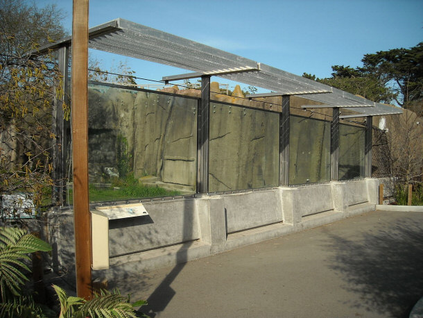 Updated Tiger Enclosures at the San Francisco Zoo