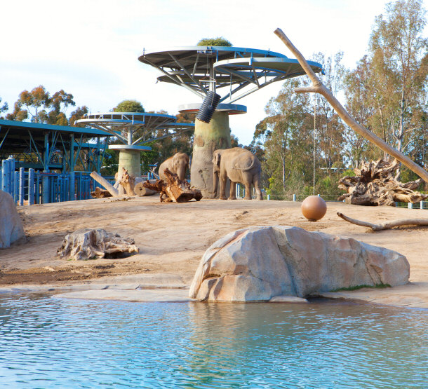 Elephant Sanctuary at the San Diego Zoo