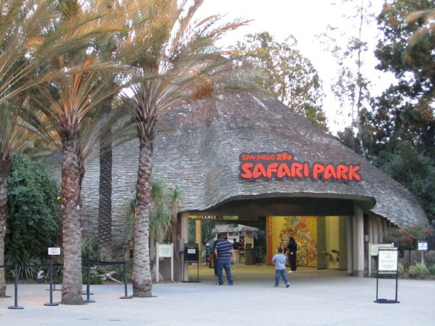 san diego safari park