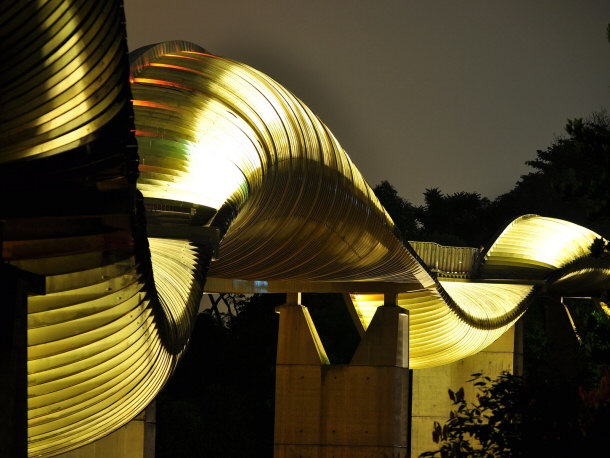 Henderson Waves Pedestrian Bridge