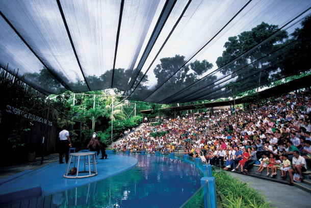 Animal Encounter Show at the Singapore Zoo