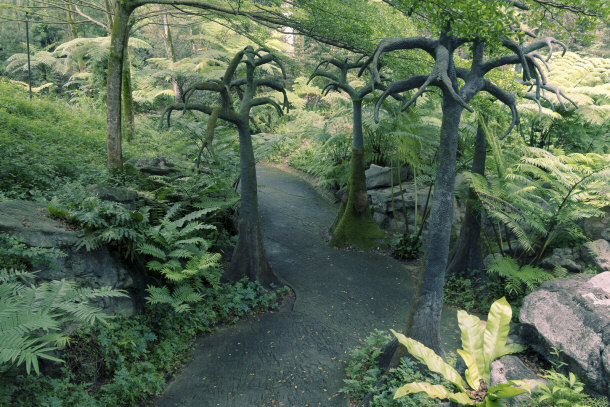 Overhead View of Botanic Gardens, Singapore