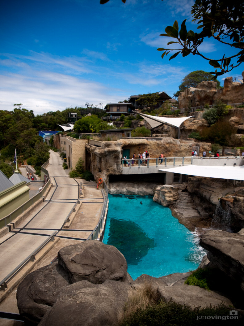 Close-up of Animal Enclosure at the Taronga Zoo