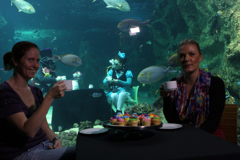 Guests Having Tea at the Mad Hatters Tea Room at the Sydney Aquarium