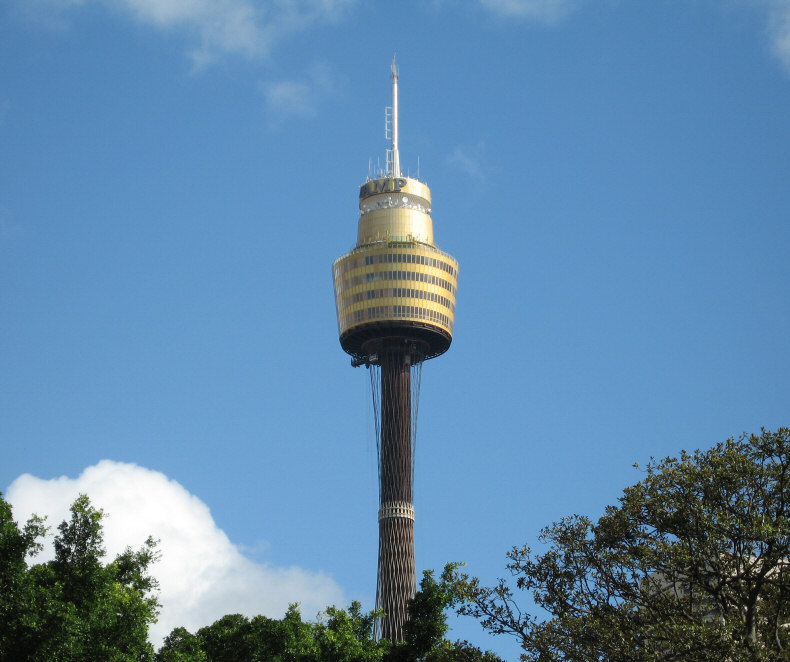 View from Hyde Park of The Sydney Tower