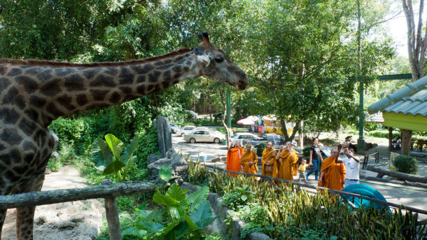 Chiang Mai zoo (99 of 130) by marriedwithluggage, on Flickr