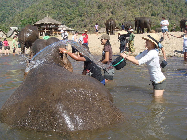 Elephant Nature Park Thailand