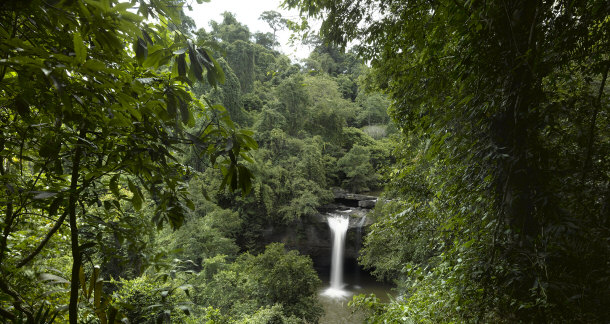 Khao Yai National Park Thailand