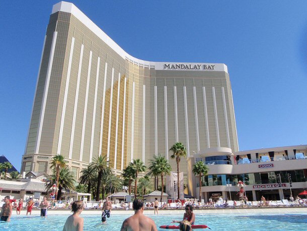 The sharks don't pay that much attention to the swimmers but brave patrons can choose to swim with the sharks in Mandalay Bay in Las Vegas, NV.