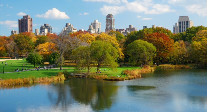 If you are ever in the city that never sleeps then visit the must sees, like: Central Park, The Statue of Liberty, The Metropolitan Museum of Art, some historical libraries and  universities. 