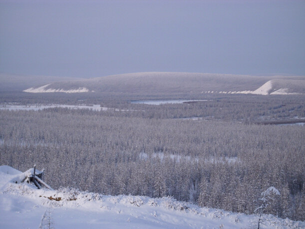 Valley Basin of Verkhoyansk with Larix gmelinii Forest