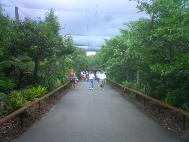  Các Aviary tại vườn thú Australia