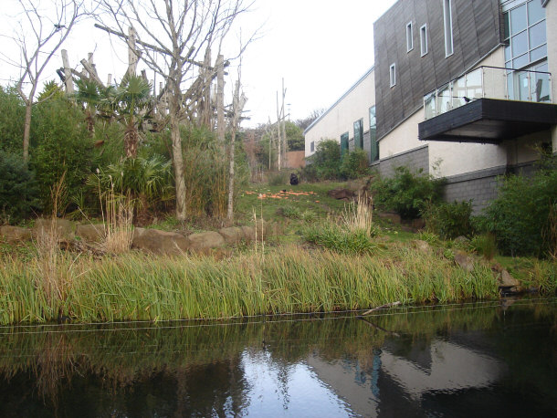 Budango Trail at Edinburgh Zoo