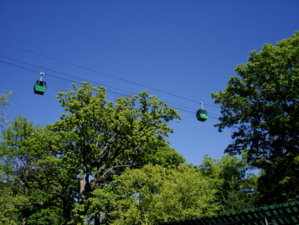 Skyfari at the Bronx Zoo