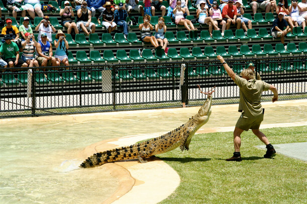 The Late Steve Irwin Performing Live at the Australia Zoo