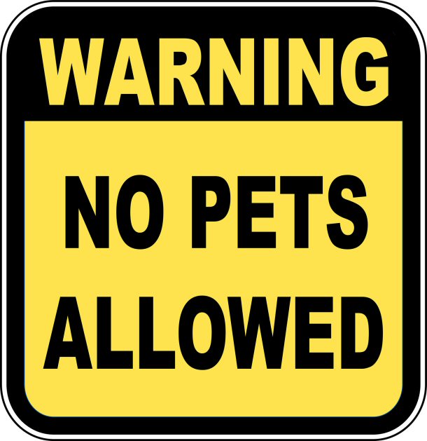 No pets allowed in Las Vegas, NV.