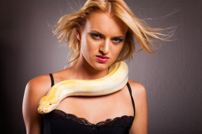 fashion model with python