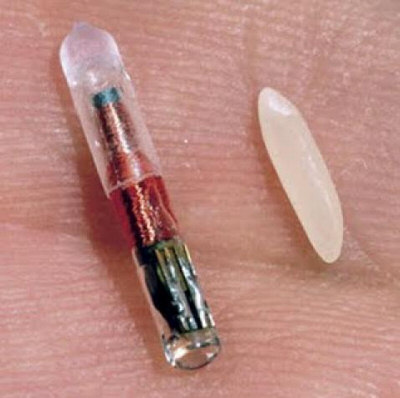 Device that Is Implanted in Your Pet and a Grain of Rice for Size Comparison