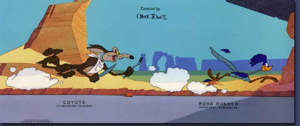 Wile E. Coyote and the Road Runner Cartoons
