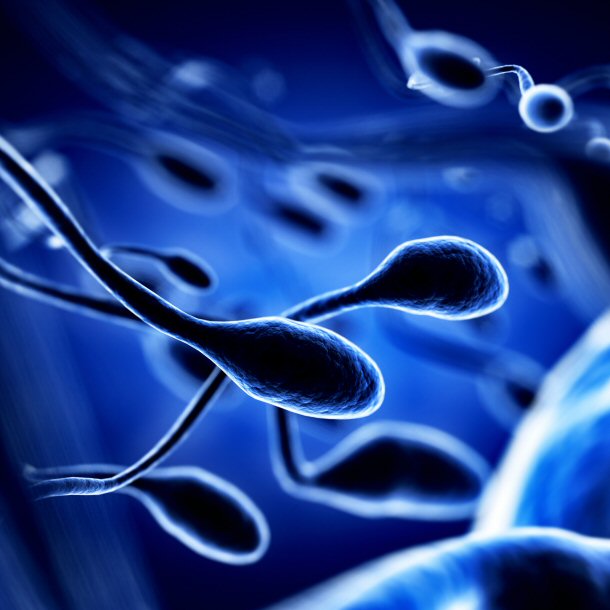 Sperm is illegally sold in the black market.