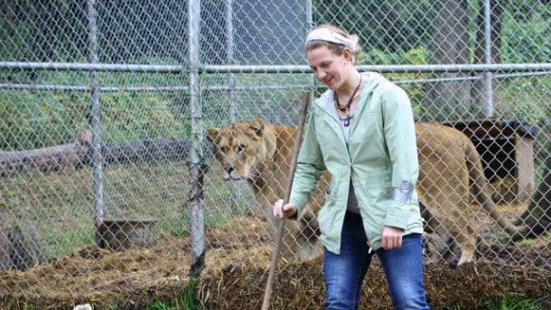 Diana Hanson Killed by an African Lion