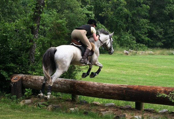 Horse Riding Takes Skill