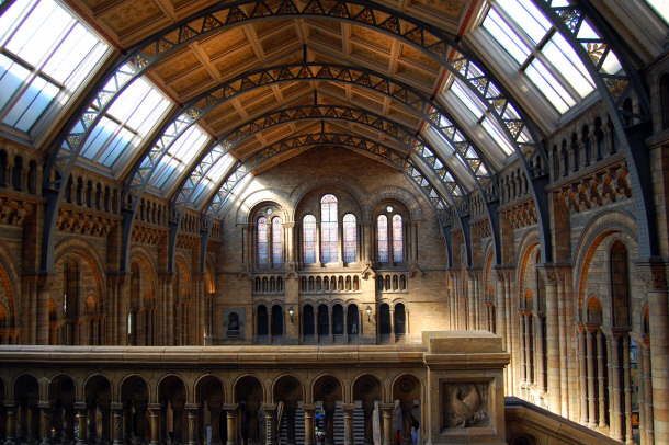  Natural History Museum in London