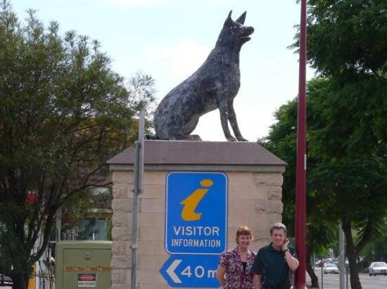 blue heeler statue