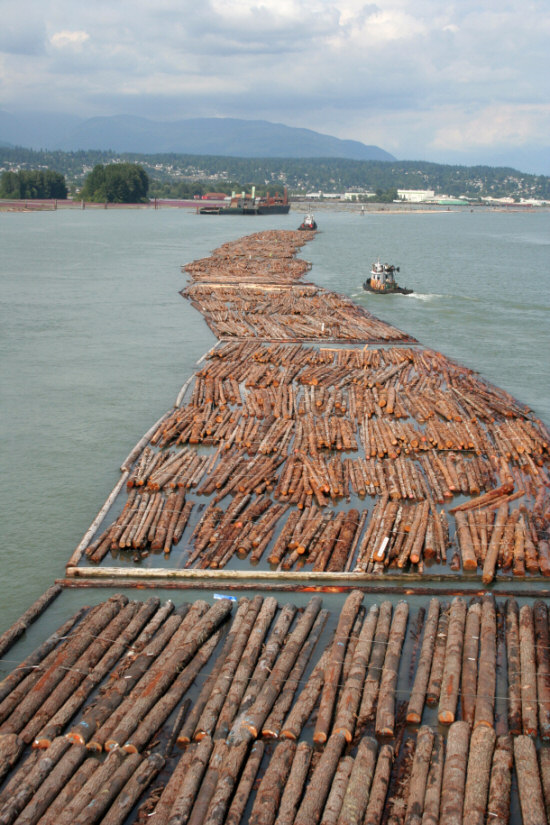 Log Driving in Vancouver, British Columbia