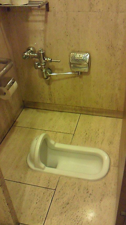 Contemporary Japanese Squat Toilet