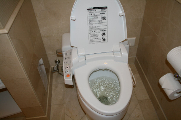 Example of a Modern Japenese Toliet