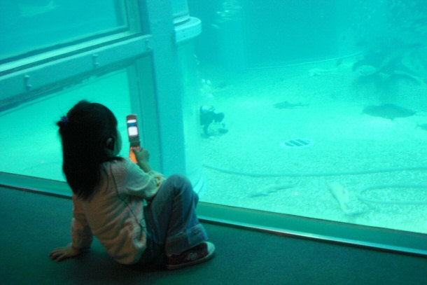 Young Japanese Girl Using Her Phone For Taking Photos at the Aquarium