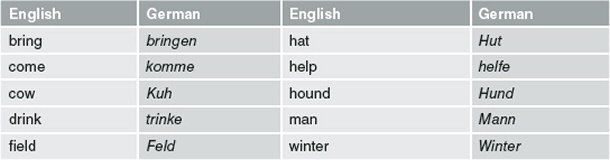 english and german verbs