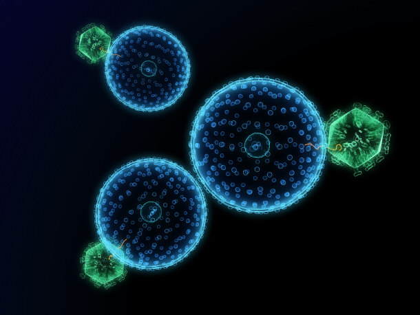 HIV Virus (Green) Infecting Healthy Cells (Blue)
