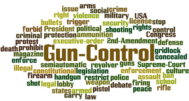 gun control concept