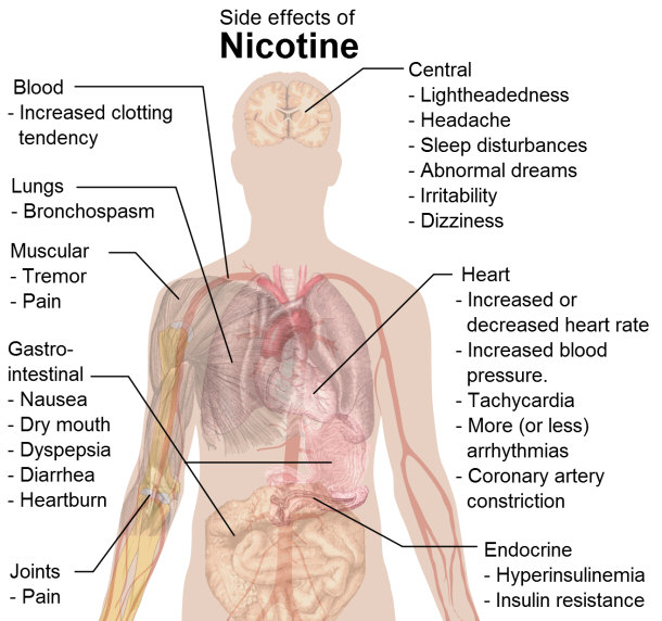 Side effects of Nicotine