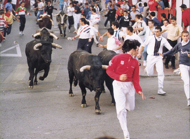 encierro running of the bulls spain Do you Have the Nerves for Encierro?