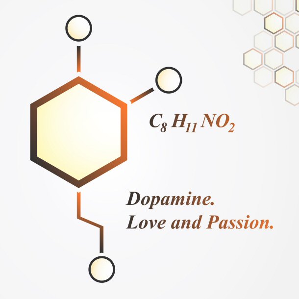 When you are in love, the brain becomes more active in the ventral segmental area of the brain and this part of the brain is where you process pleasure by making dopamine.
