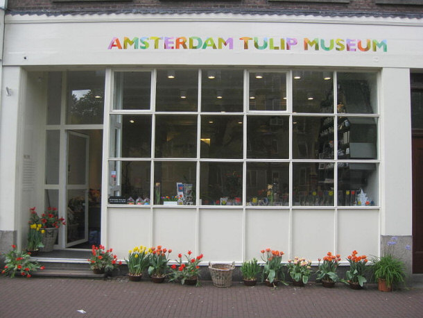 Storefront Entrance to Amsterdam Tulip Museum 